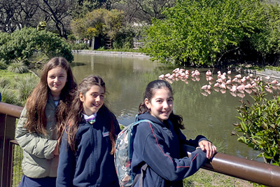 Salida educativa al Ecoparque